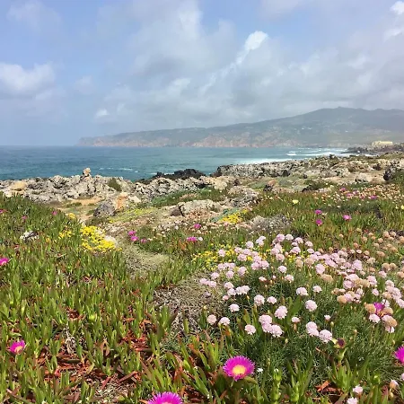 펜션 Family 5min Away From Guincho